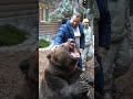 Медведь Том: Фото и идеи съемок 🐻