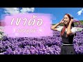 ทริปส่งท้ายปีรับลมหนาวที่เขาค้อ เพชรบูรณ์
