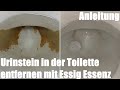 Urinstein in der Toilette entfernen mit Essig Essenz Anleitung
