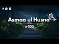Beautiful Quran Recitation / Asmaa ul Husna x 100 / Lofi Quran / Reciter Omar Hisham Al Arabi