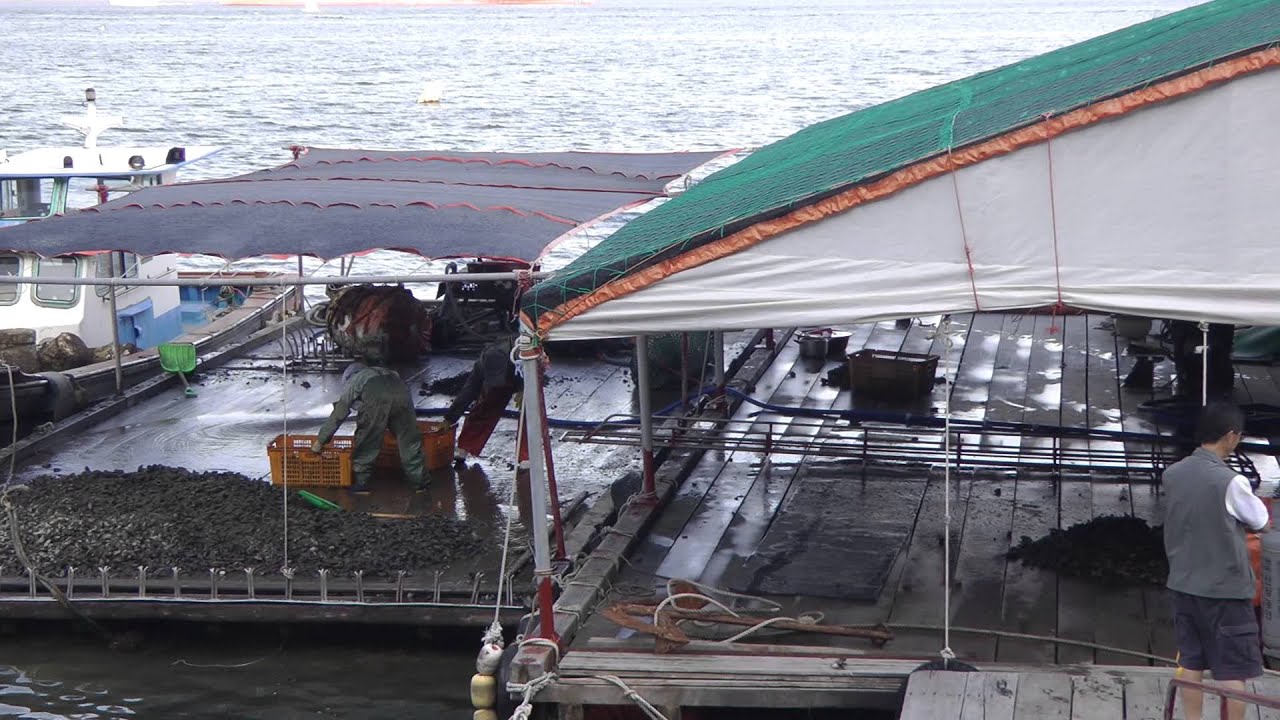 20100927-20101002 Tour 2 00041