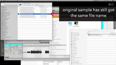7. Rename - Audio Editing in Ableton & Logic Pro