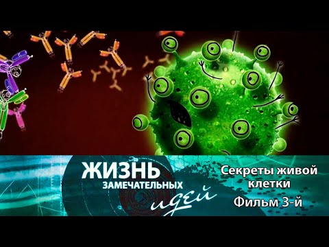 Жизнь замечательных идей "Секреты живой клетки" - Фильм 3-й @Телеканал Культура