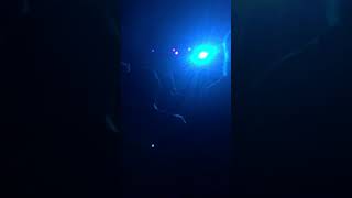 Charles The First & Goopsteppa B2B