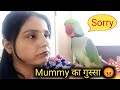 Mummy ka Gussa 😡 Pablo Parrot Vs Mumma 😍