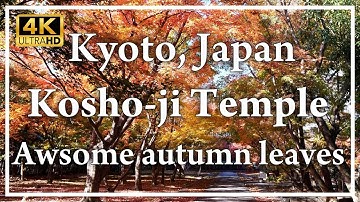 An old temple known as Oribe-dera. I visited during its autumn opening to see the leaves🍁