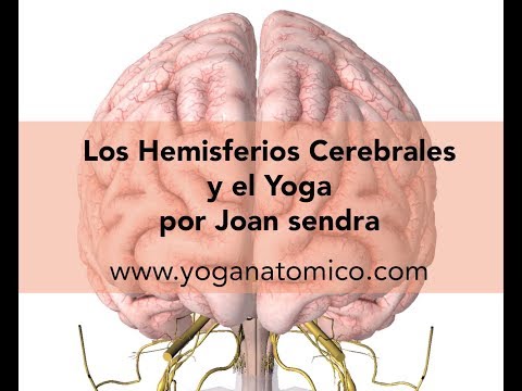 Video: Zenart: Yoga Para Tu Cerebro