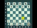 افتتاحيات الشطرنج  فيديو 1افتتاحيات بيدق الملك التقليدية   e4-e5 chess opening