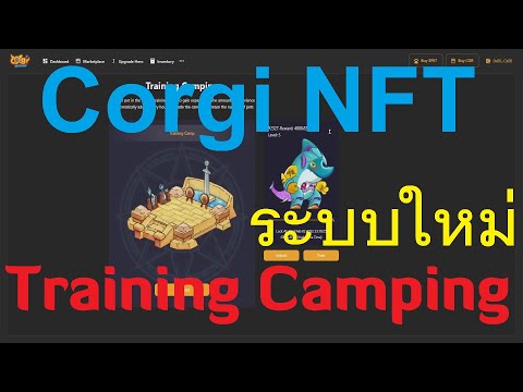 ระบบใหม่ Trianing Camping และเทคนิคการเล่น [Corgi NFT Game]