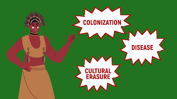 T.A.I.N.O. Taino American Indigenous Ntional Organization- 2D Animated Introduction Promo Video