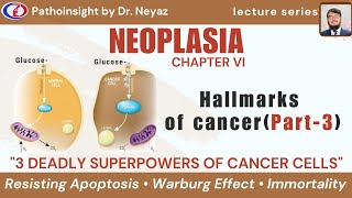 Resisting Cell Death, Warburg Effect & Replicative Immortality explained Lec 40 Cell Death Kinetics