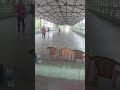 Roller skating एक मज़ेदार और फिटनेस से भरपूर खेल है जिसमें जूतों के नीचे पहिए (wheels) लगे होते हैं।