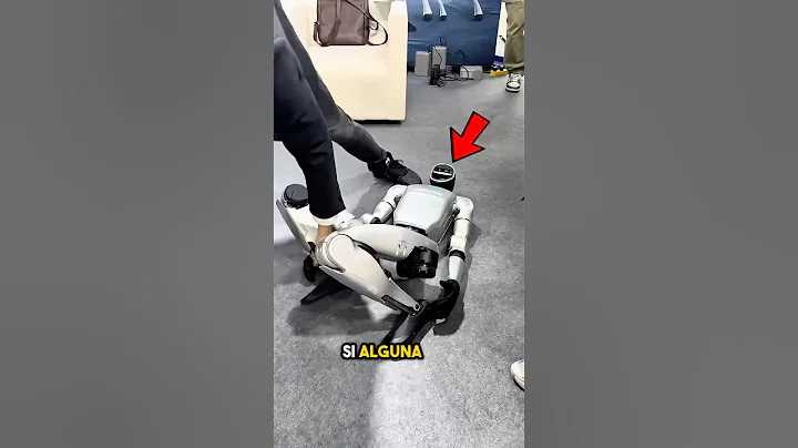 Nunca Recoja un Robot Caído 😳