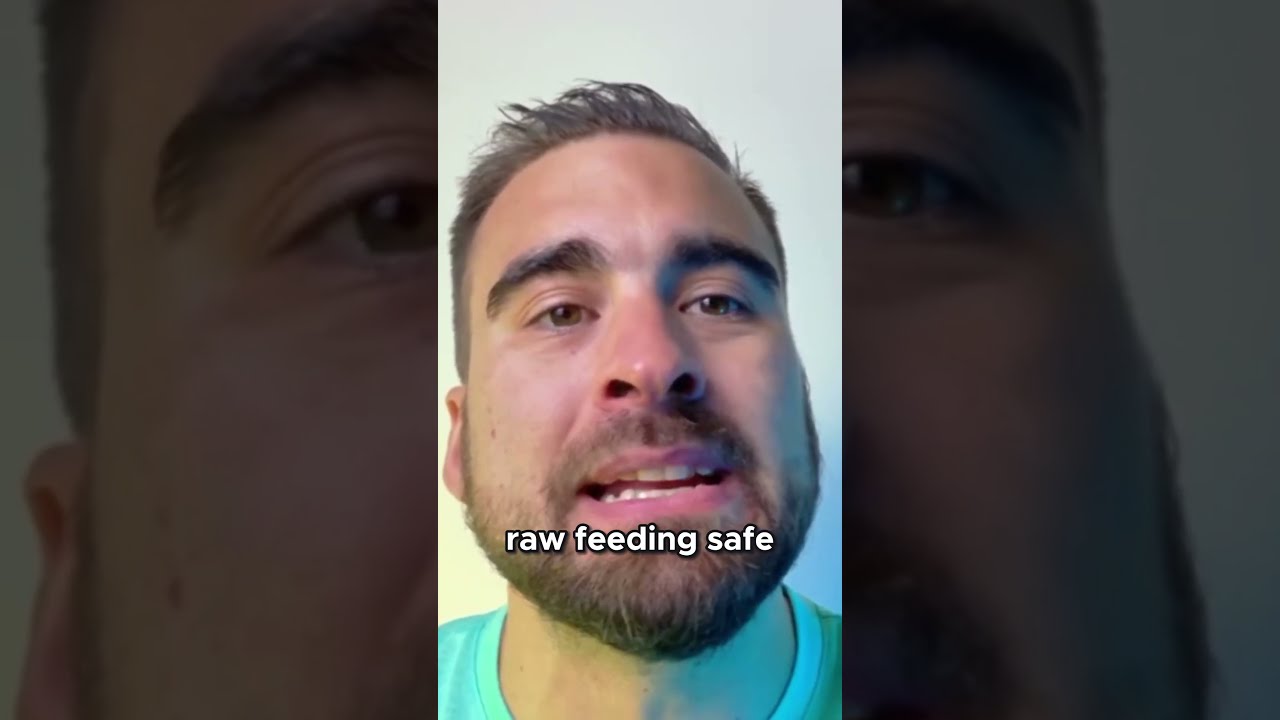 Is Raw Food Safe For Cats 