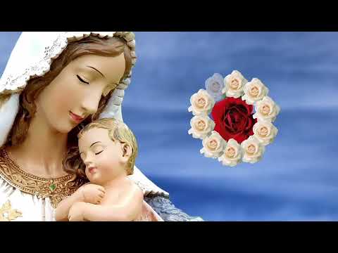 Rosario del MARTES 7 de JULIO | Misterios DOLOROSOS | Wilson Tamayo