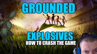 Grounded: Explosives and how to (not) crash the game screenshot 4