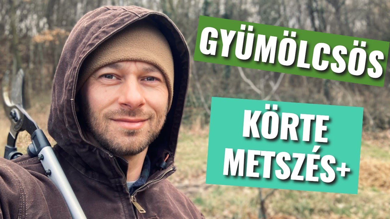 Körte metszés / Pear tree pruning