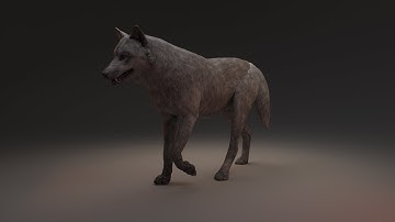 Character & Creature  Animation Demo Reel