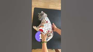 No More Scratch Marks: Easy Cat Nail Clipping with Anti-Escape Tool!