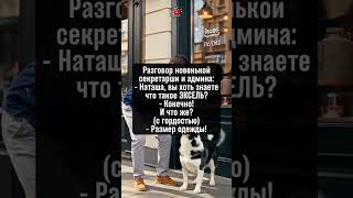Новенькая секретарша и админ о модном "ЭКСЕЛЬ"! #анекдоты #юмор