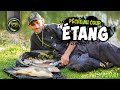 Pche au coup en tang avec pierre vautard  matrix fishing tv france pche france