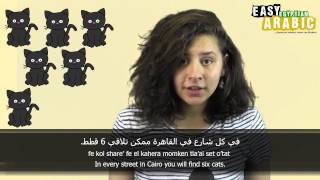 10 Arabic Phrases with Cats from 1 to 10 - Egyptian Arabic Basic Phrases screenshot 1