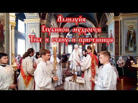Глубиною мудрости (Знаменного распева) - духовенство Кировоградской епархии