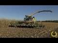 Krone BIG X 1100 XXL mit 14 Reihen / Maisernte 2016 / Corn Harvest / Mais hakselen / Harvesting mais