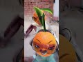 The Hilarious Dance Moves of the Orange Animal #funny pets