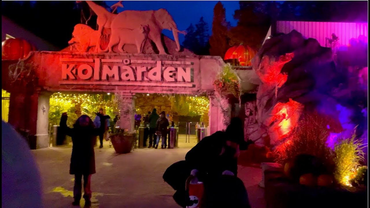 HALLOWEEN på kolmården safari park | fullständig roligt dag till barn på HALLOWEEN 2023