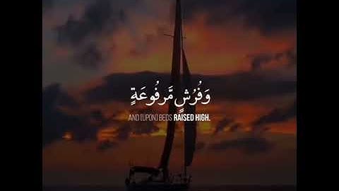القارئ سالم الرويلي /قرآن كريم/تلاوة عطرة/ مقاطع قصيرة/ حالات واتساب