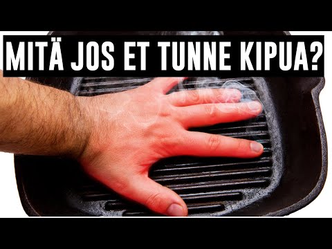 Video: Mitä on yhteistoimintapoliisi?