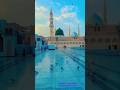 Roza Nabi|Madina #islamicshorts #shortvideo #muslimkids #shorts #shortsfeed