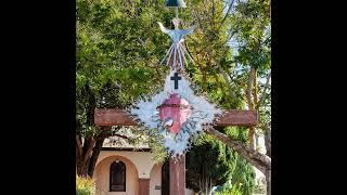 Live Virtual Mass: The Sixth Sunday in Ordinary Time
