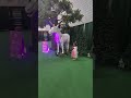 McKenna at unicorn land ￼