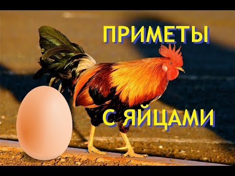 Приметы связанные с яйцами