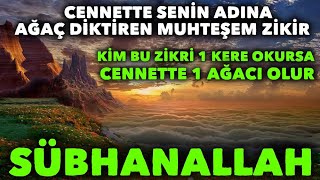 Cennette senin adına ağaç diktiren muhteşem zikir! Her gün 100 kere okuyanın günahları erir gider.!