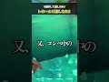 粘着系トロールに流したれｗｗｗ#valorant