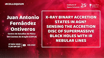 Juan Antonio Fernández - X-ray binary accretion states in AGN?