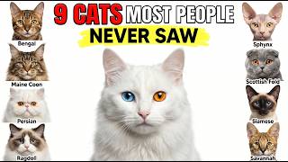 The 9 Most Exotic Cat Breeds in the World Explained!