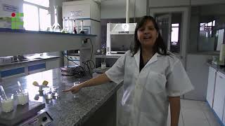 prática bioquímica - enzimas