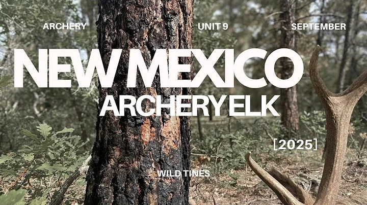 2025 New Mexico Unit 9 : My September Archery Elk Hunt