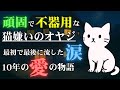 頑固で不器用な猫嫌いのオヤジが流した最初で最後の涙～10年の愛の物語