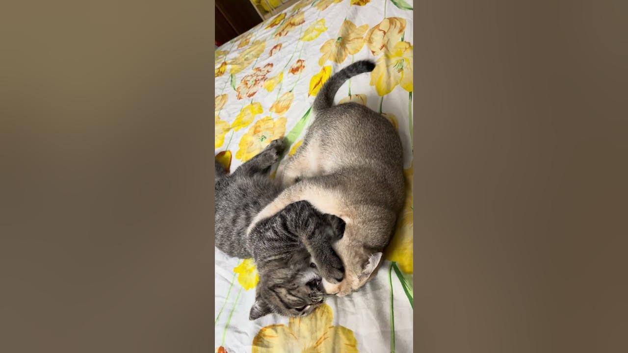 Милые бранятся, только тешатся 😂 🥰🥰🥰 - YouTube
