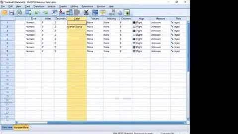 Introduction to SPSS in Urdu