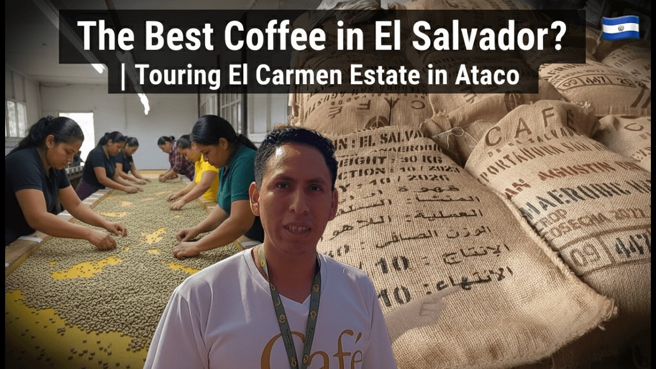 The Best Coffee in El Salvador? | Touring El Carmen Estate in Ataco