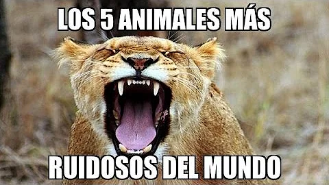 ¿Qué animales tienen sonido fuerte?