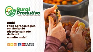 BURITI, FEIRA AGROECOLÓGICA EM SENTO FÉ E BISCOITO SALGADO DE LICURI NO RURAL PRODUTIVO | 06/11/2021