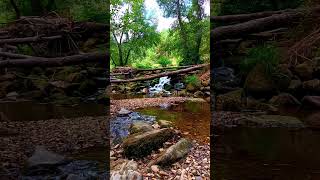 🇪🇸 🌳 🌄 Río Támega (Verín ⇒ Monterrei) #Senderismo #Galicia #España #Shorts