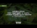 Nature's MDMA? Kanna: A Potent &amp; Legal Plant Medicine w/ Ryan Latreille | 523 | Luke Storey